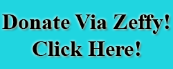 DonateViaZeffyClickHere
